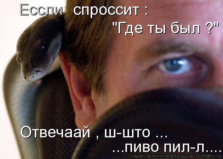 спроссит : Ессли "Где ты был ?" Отвечаай , ш-што ... ...пиво пил-л....... Котоматрица: спроссит : Ессли "Где ты был ?" Отвечаай , ш-што ... ...пиво пил-л....
