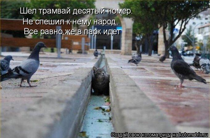 Не спешил к нему народ, Шел трамвай десятый номер. Все равно же в парк идет... Котоматрица: Не спешил к нему народ, Шел трамвай десятый номер. Все равно же в парк идет