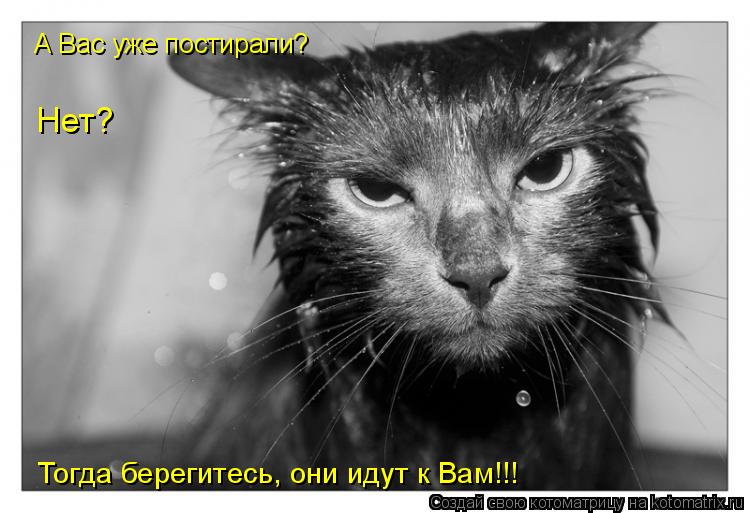 Котоматрица: А Вас уже постирали?  Нет?  Тогда берегитесь, они идут к Вам!!!