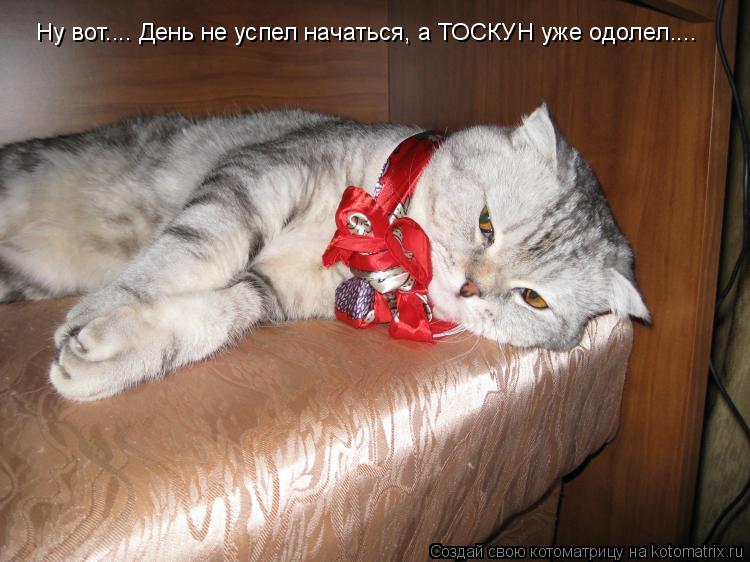 Котоматрица: Ну вот.... День не успел начаться, а ТОСКУН уже одолел....