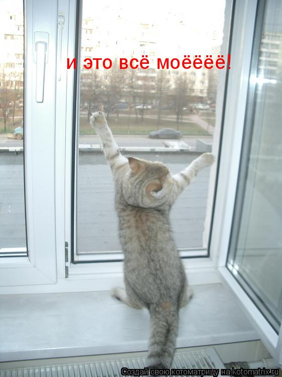 Котоматрица: и это всё моёёёё!