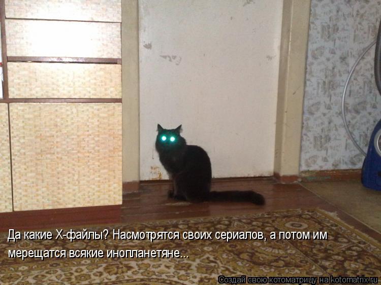 Да какие Х-файлы? Насмотрятся своих сериалов, а потом им мерещатся всякие инопланетяне...... Котоматрица: Да какие Х-файлы? Насмотрятся своих сериалов, а потом им мерещатся всякие инопланетяне...