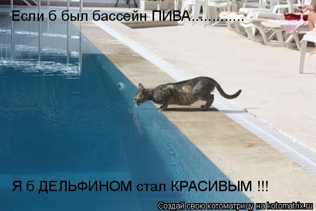 Если б был бассейн ПИВА............. Я б ДЕЛЬФИНОМ стал КРАСИВЫМ !!!... Котоматрица: Если б был бассейн ПИВА............. Я б ДЕЛЬФИНОМ стал КРАСИВЫМ !!!