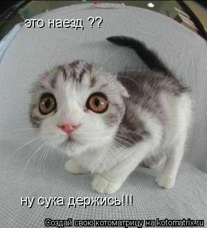 это наезд ?? ну сука держись!!!... Котоматрица: это наезд ?? ну сука держись!!!