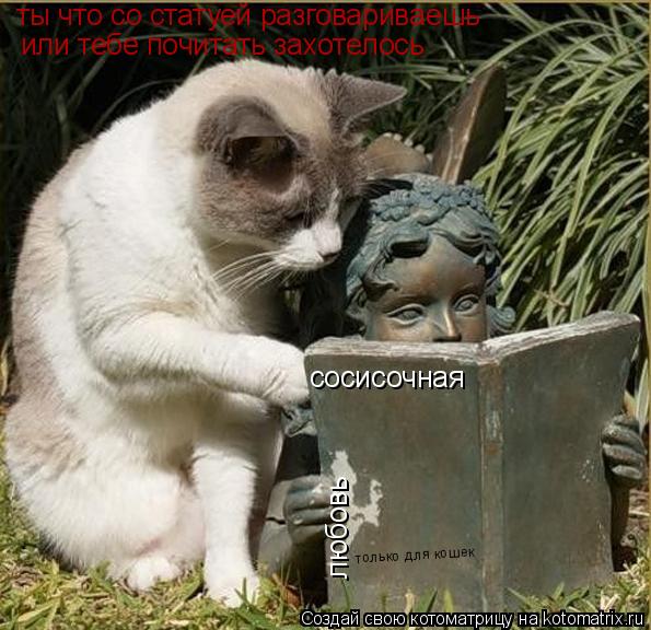 ты что со статуей разговариваешь или тебе почитать захотелось сосисочная любовь только для кошек... Котоматрица: ты что со статуей разговариваешь или тебе почитать захотелось сосисочная любовь только для кошек