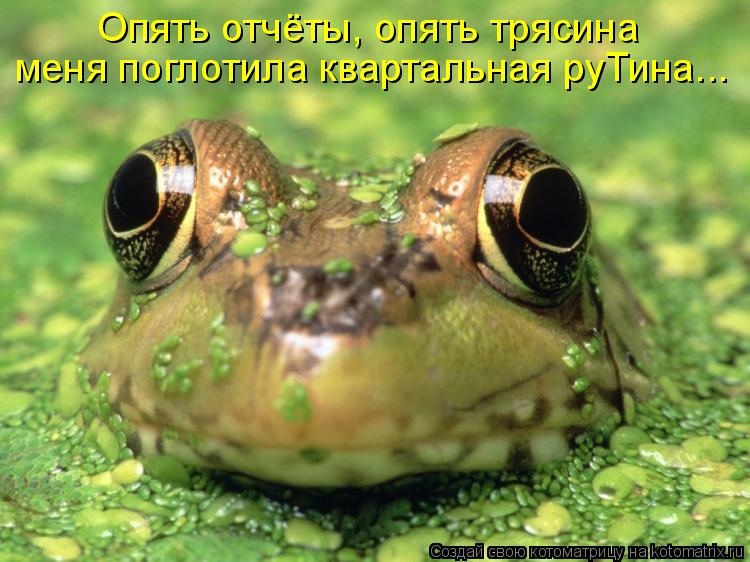 Опять отчёты, опять трясина меня поглотила квартальная руТина...... Котоматрица: Опять отчёты, опять трясина меня поглотила квартальная руТина...