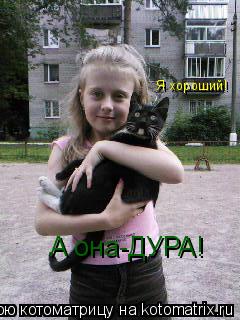 Я хороший! А она-ДУРА!... Котоматрица: Я хороший! А она-ДУРА!