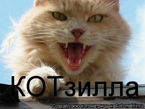 КОТзилла... Котоматрица: КОТзилла