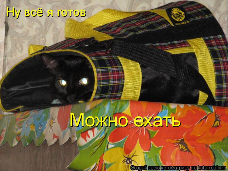 Ну всё я готов Можно ехать... Котоматрица: Ну всё я готов Можно ехать