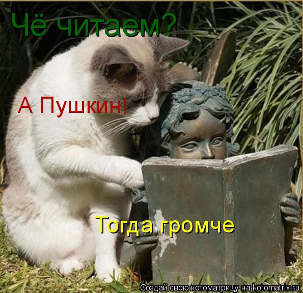Чё читаем? А Пушкин Тогда громче !... Котоматрица: Чё читаем? А Пушкин Тогда громче !