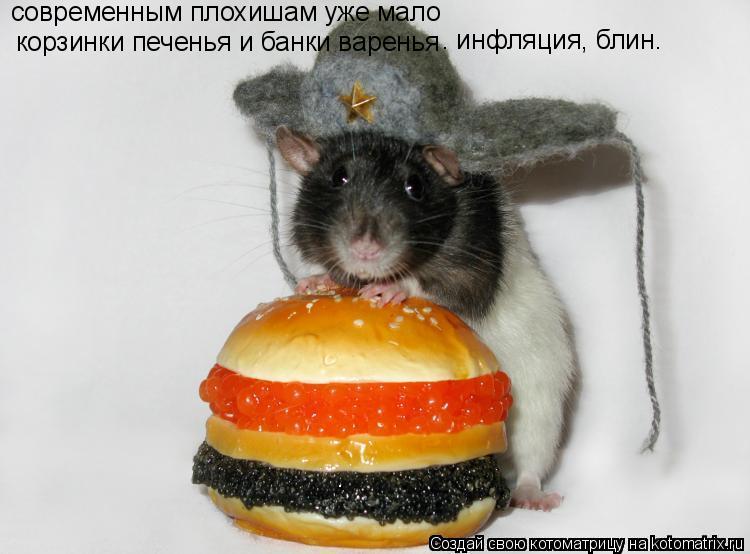 Котоматрица: современным плохишам уже мало  корзинки печенья и банки варенья . инфляция, блин.