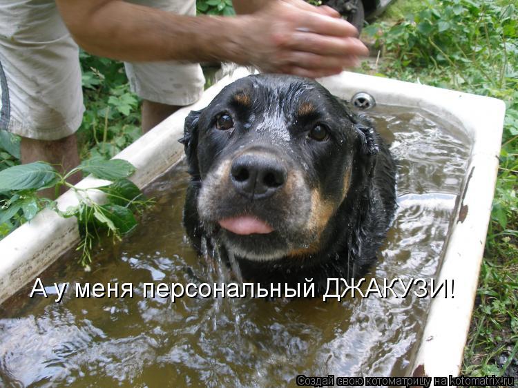А у меня персональный ДЖАКУЗИ!... Котоматрица: А у меня персональный ДЖАКУЗИ!