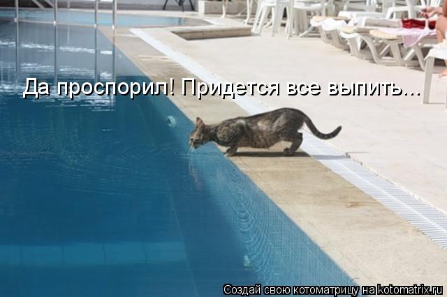 Да проспорил! Придется все выпить...... Котоматрица: Да проспорил! Придется все выпить...