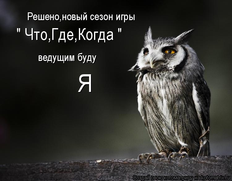 Котоматрица: Решено,новый сезон игры  " Что,Где,Когда " ведущим буду   Я