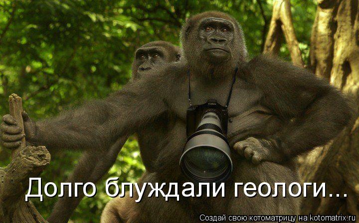 Котоматрица: Долго блуждали геологи...