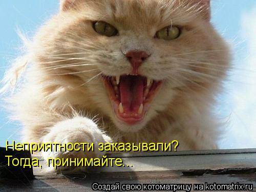 Котоматрица: Неприятности заказывали? Тогда, принимайте...