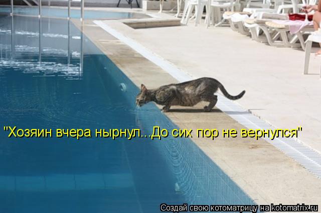 Котоматрица: "Хозяин вчера нырнул...До сих пор не вернулся"