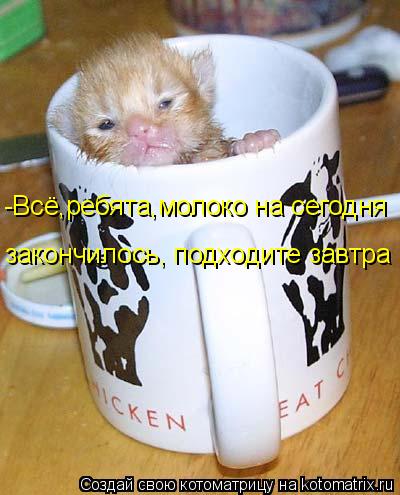 -Всё,ребята,молоко на сегодня закончилось, подходите завтра... Котоматрица: -Всё,ребята,молоко на сегодня закончилось, подходите завтра