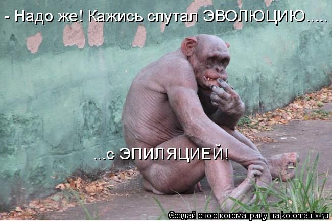 - Надо же! Кажись спутал ЭВОЛЮЦИЮ..... ...с ЭПИЛЯЦИЕЙ!... Котоматрица: - Надо же! Кажись спутал ЭВОЛЮЦИЮ..... ...с ЭПИЛЯЦИЕЙ!