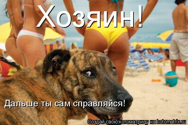 Хозяин! Дальше ты сам справляйся!... Котоматрица: Хозяин! Дальше ты сам справляйся!