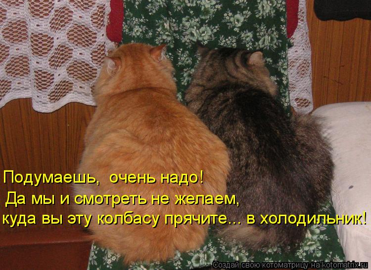 Да мы и смотреть не желаем, куда вы эту колбасу прячите... в холодильник! Подумаешь, очень надо!... Котоматрица: Да мы и смотреть не желаем, куда вы эту колбасу прячите... в холодильник! Подумаешь, очень надо!