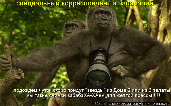 мы такие снимки забабаХА-ХАем,для желтой прессы !!!!! подождем чуток,скоро придут "звезды" из Дома 2... Котоматрица: мы такие снимки забабаХА-ХАем,для желтой прессы !!!!! подождем чуток,скоро придут "звезды" из Дома 2 или из 6 палаты специальный корреспондент