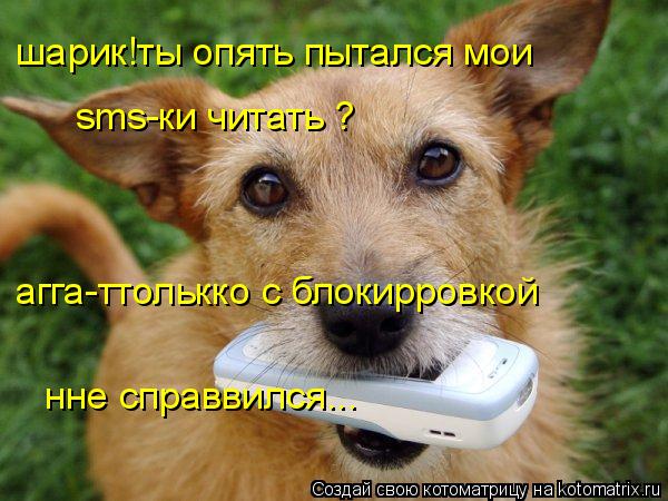 шарик!ты опять пытался мои sms-ки читать ? агга-ттолькко с блокирровкой нне справвился...... Котоматрица: шарик!ты опять пытался мои sms-ки читать ? агга-ттолькко с блокирровкой нне справвился...
