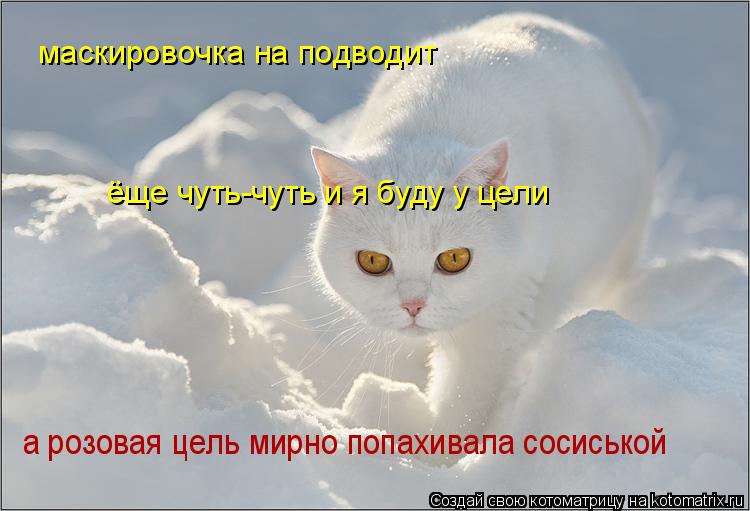 маскировочка на подводит ёще чуть-чуть и я буду у цели а розовая цель мирно попахивала сосиськой... Котоматрица: маскировочка на подводит ёще чуть-чуть и я буду у цели а розовая цель мирно попахивала сосиськой