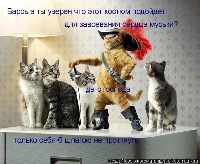 Барсь,а ты уверен,что этот костюм подойдёт для завоевания сердца муськи? да-с господа только себя-... Котоматрица: Барсь,а ты уверен,что этот костюм подойдёт для завоевания сердца муськи? да-с господа только себя-б шпагою не проткнуть