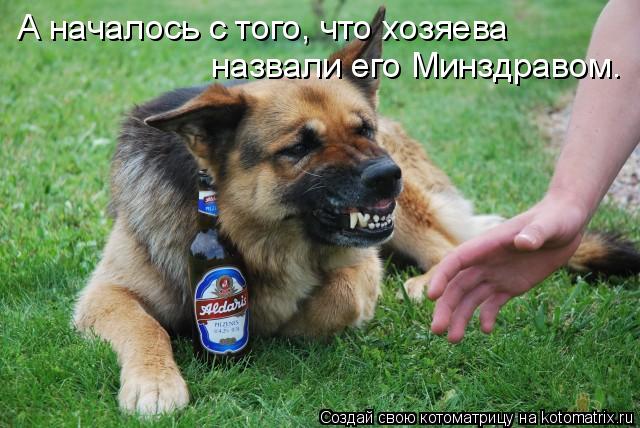 А началось с того, что хозяева назвали его Минздравом.... Котоматрица: А началось с того, что хозяева назвали его Минздравом.