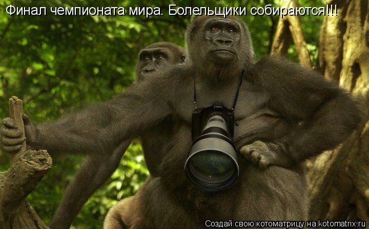 Финал чемпионата мира. Болельщики собираются!!!... Котоматрица: Финал чемпионата мира. Болельщики собираются!!!