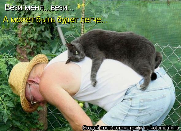 Вези меня...вези... А может быть будет легче...... Котоматрица: Вези меня...вези... А может быть будет легче...