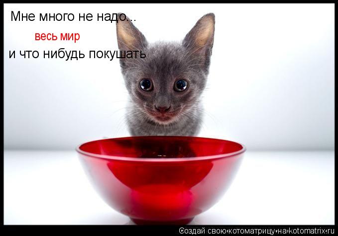 Мне много не надо... весь мир и что нибудь покушать... Котоматрица: Мне много не надо... весь мир и что нибудь покушать