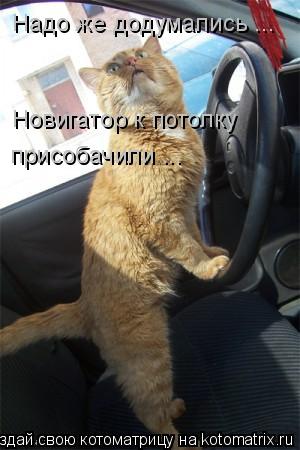 Надо же додумались ... Новигатор к потолку присобачили ...... Котоматрица: Надо же додумались ... Новигатор к потолку присобачили ...