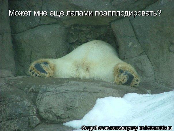 Может мне еще лапами поапплодировать?... Котоматрица: Может мне еще лапами поапплодировать?