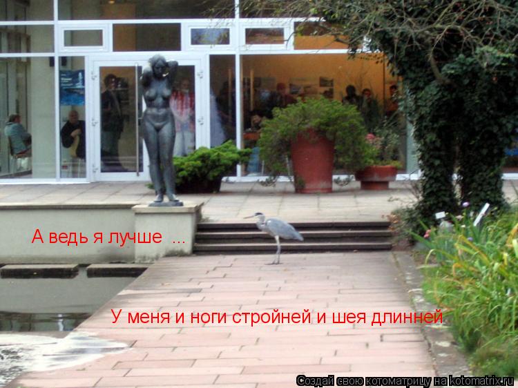 А ведь я лучше У меня и ноги стройней и шея длинней ...... Котоматрица: А ведь я лучше У меня и ноги стройней и шея длинней ...