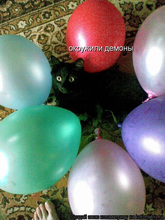 окружили демоны... Котоматрица: окружили демоны