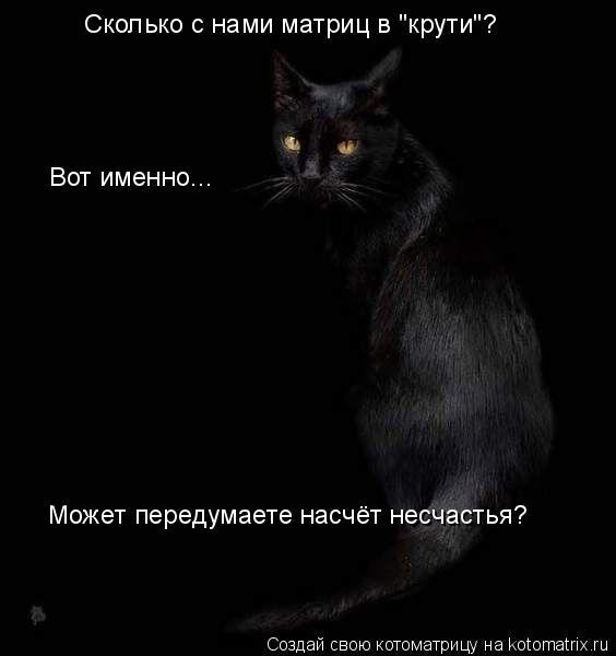 Может передумаете насчёт несчастья? Вот именно... Сколько с нами матриц в "крути"?... Котоматрица: Может передумаете насчёт несчастья? Вот именно... Сколько с нами матриц в "крути"?