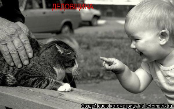 ДЕДОВЩИНА... Котоматрица: ДЕДОВЩИНА