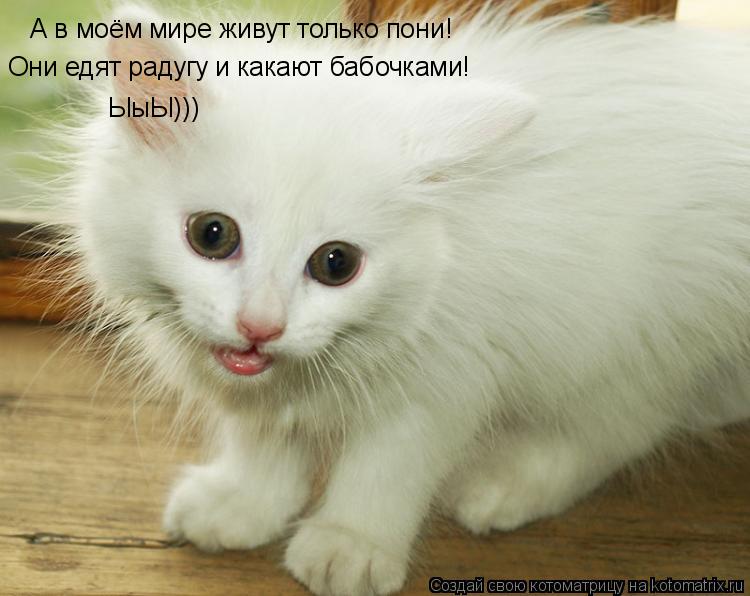 А в моём мире живут только пони! Они едят радугу и какают бабочками! ЫыЫ)))... Котоматрица: А в моём мире живут только пони! Они едят радугу и какают бабочками! ЫыЫ)))