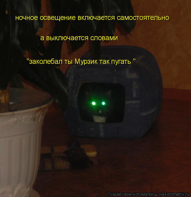 ночное освещение включается самостоятельно а выключается словами "заколебал ты Мурзик так пугать "... Котоматрица: ночное освещение включается самостоятельно а выключается словами "заколебал ты Мурзик так пугать "