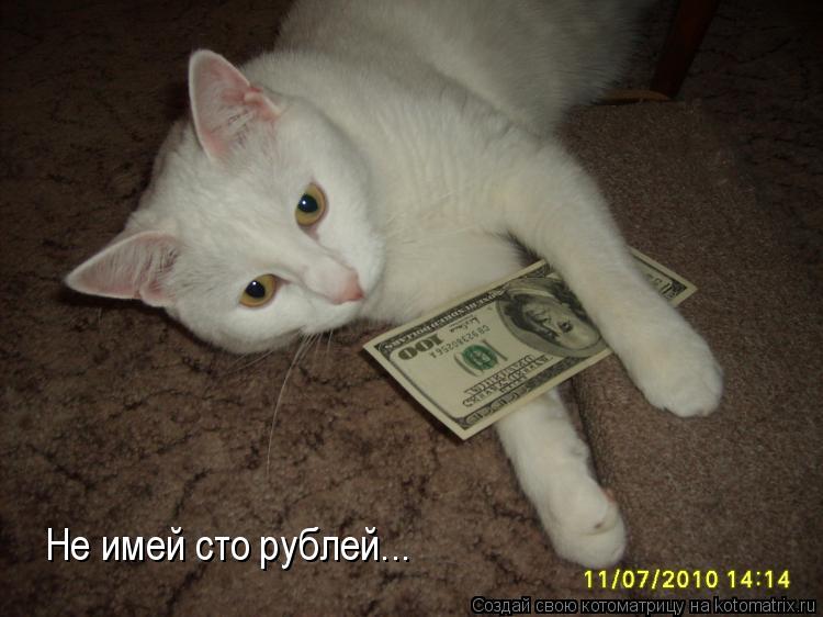 Не имей сто рублей...... Котоматрица: Не имей сто рублей...