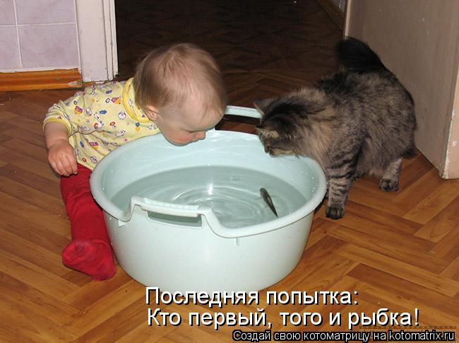 Последняя попытка: Кто первый, того и рыбка!... Котоматрица: Последняя попытка: Кто первый, того и рыбка!