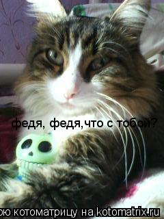 федя, федя,что с тобой?... Котоматрица: федя, федя,что с тобой?