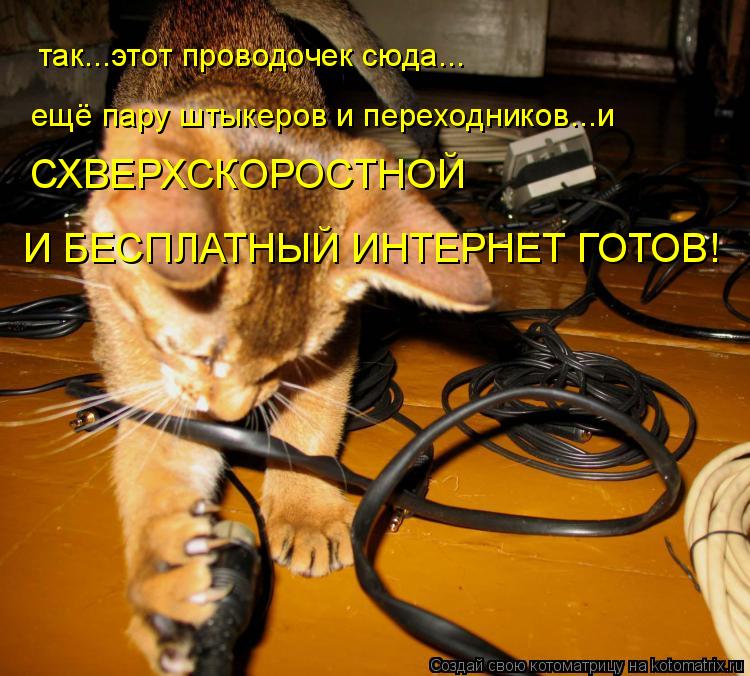 так...этот проводочек сюда... ещё пару штыкеров и переходников...и И БЕСПЛАТНЫЙ ИНТЕРНЕТ ГОТОВ! СХВЕР... Котоматрица: так...этот проводочек сюда... ещё пару штыкеров и переходников...и И БЕСПЛАТНЫЙ ИНТЕРНЕТ ГОТОВ! СХВЕРХСКОРОСТНОЙ