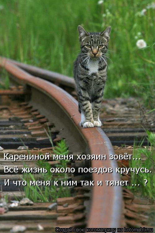 Карениной меня хозяин зовёт... Всё жизнь около поездов кручусь. И что меня к ним так и тянет ... ?... Котоматрица: Карениной меня хозяин зовёт... Всё жизнь около поездов кручусь. И что меня к ним так и тянет ... ?