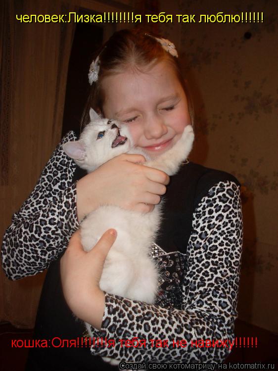 человек:Лизка!!!!!!!!я тебя так люблю!!!!!! кошка:Оля!!!!!!!!я тебя так не навижу!!!!!!... Котоматрица: человек:Лизка!!!!!!!!я тебя так люблю!!!!!! кошка:Оля!!!!!!!!я тебя так не навижу!!!!!!