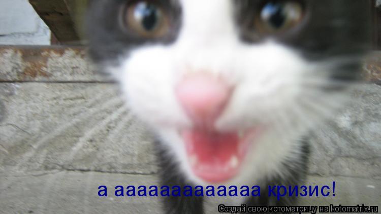 а ааааааааааааа кризис!... Котоматрица: а ааааааааааааа кризис!