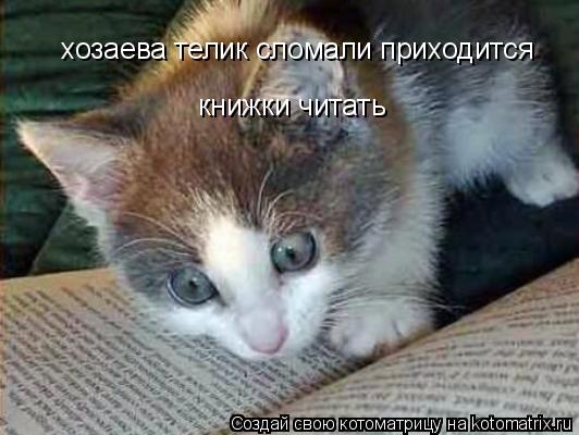 хозаева телик сломали приходится книжки читать... Котоматрица: хозаева телик сломали приходится книжки читать