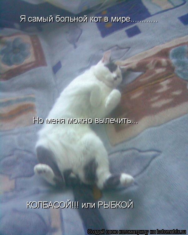 Котоматрица: Я самый больной кот в мире............ Но меня можно вылечить... КОЛБАСОЙ!!! или РЫБКОЙ